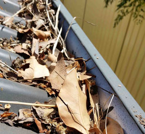 Perth Gutter and Downpipe Cleaning preview