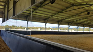 Horse Arena Mirrors